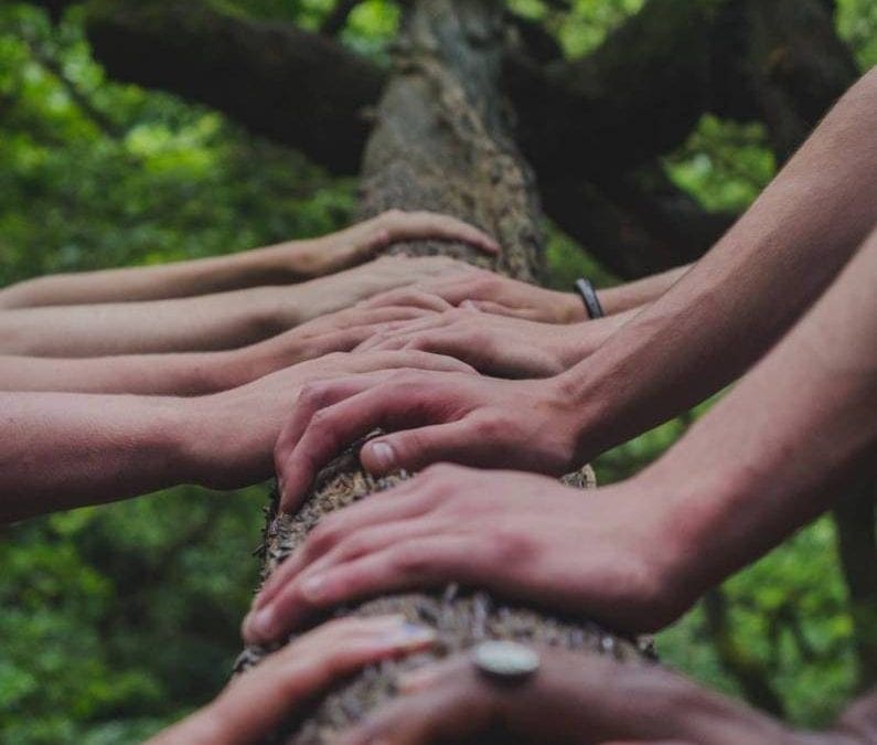 hands of different people tapped on a branch