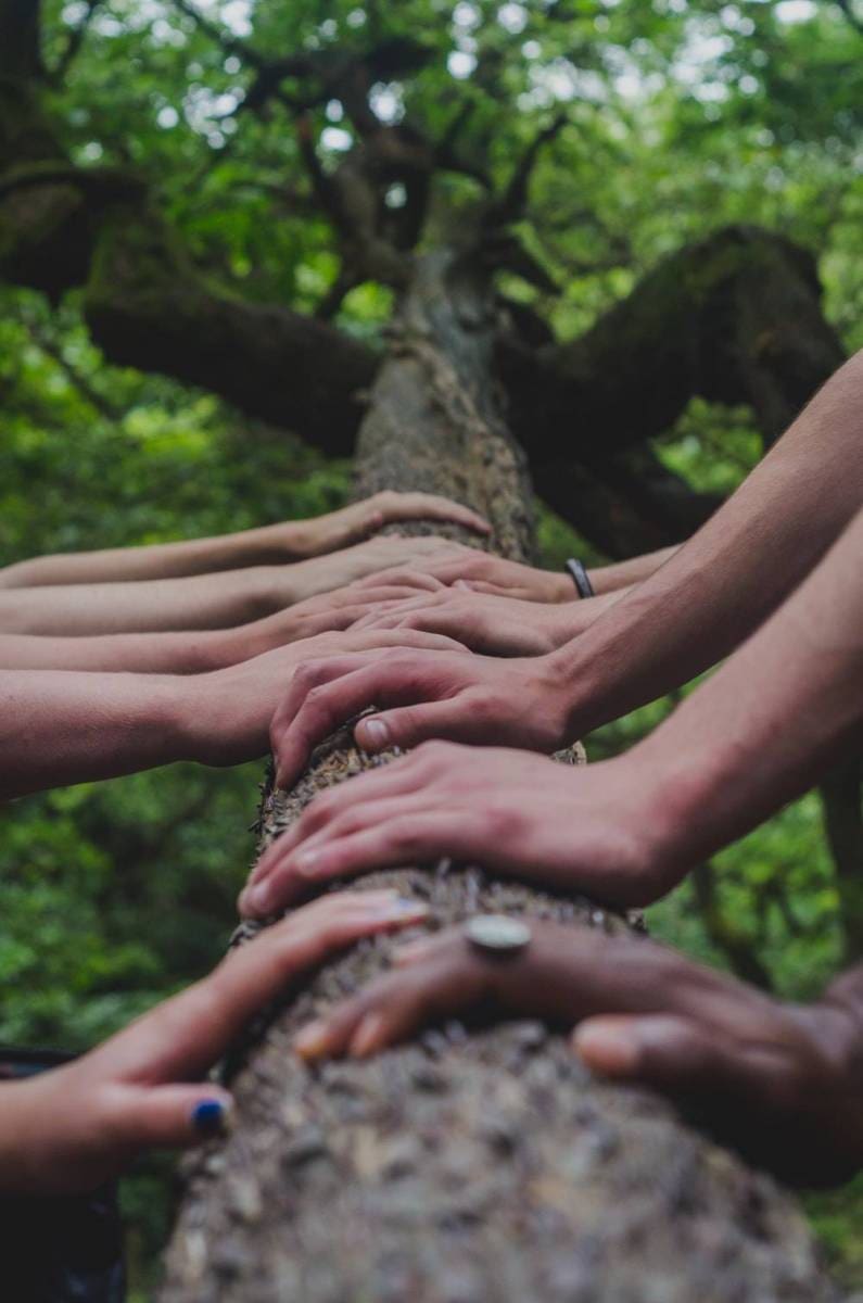 hands of different people tapped on a branch