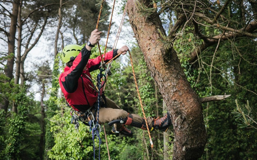 5 Team-building Ideas In The Yorkshire Dales