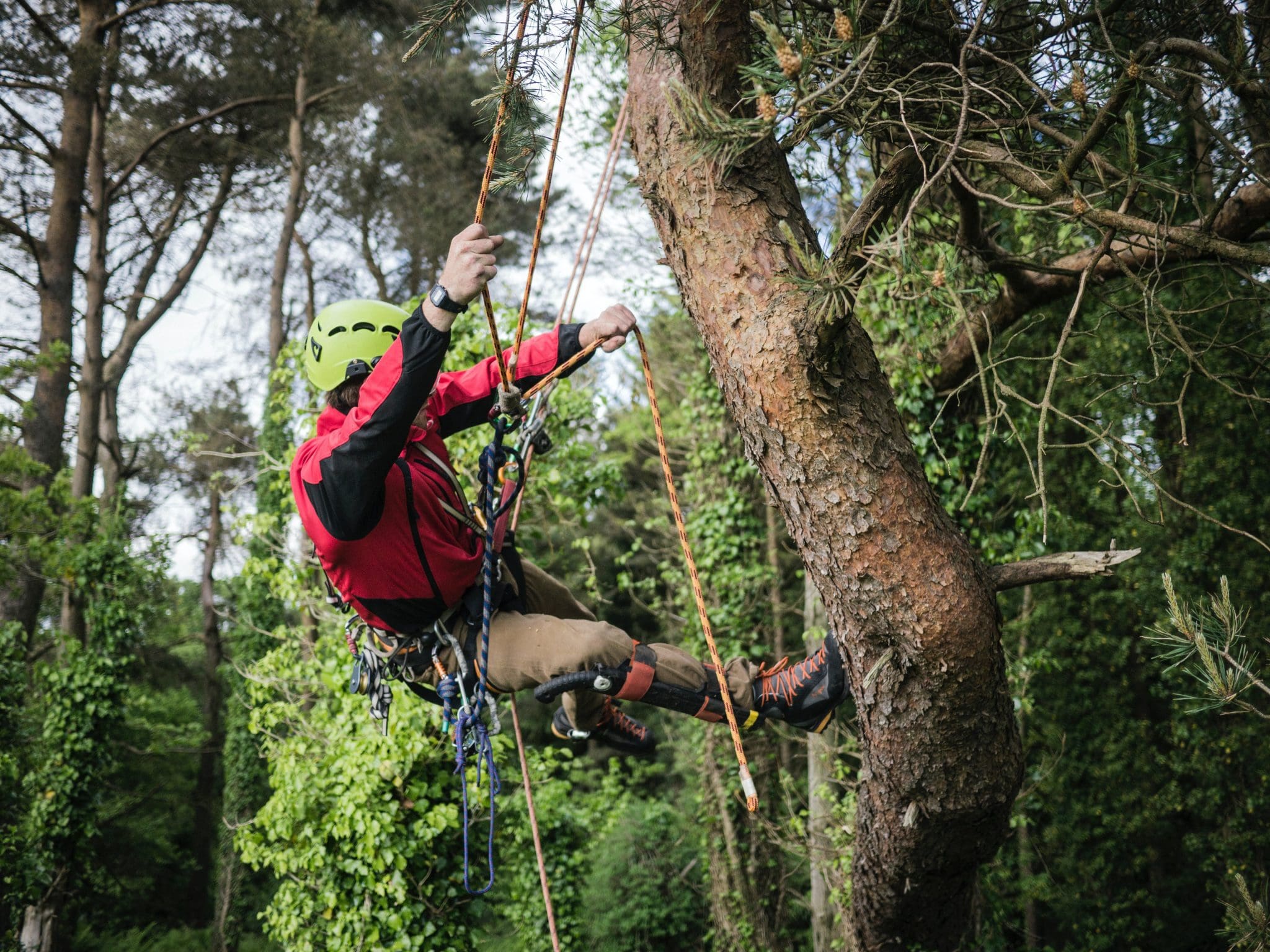 5 Team-building Ideas In The Yorkshire Dales